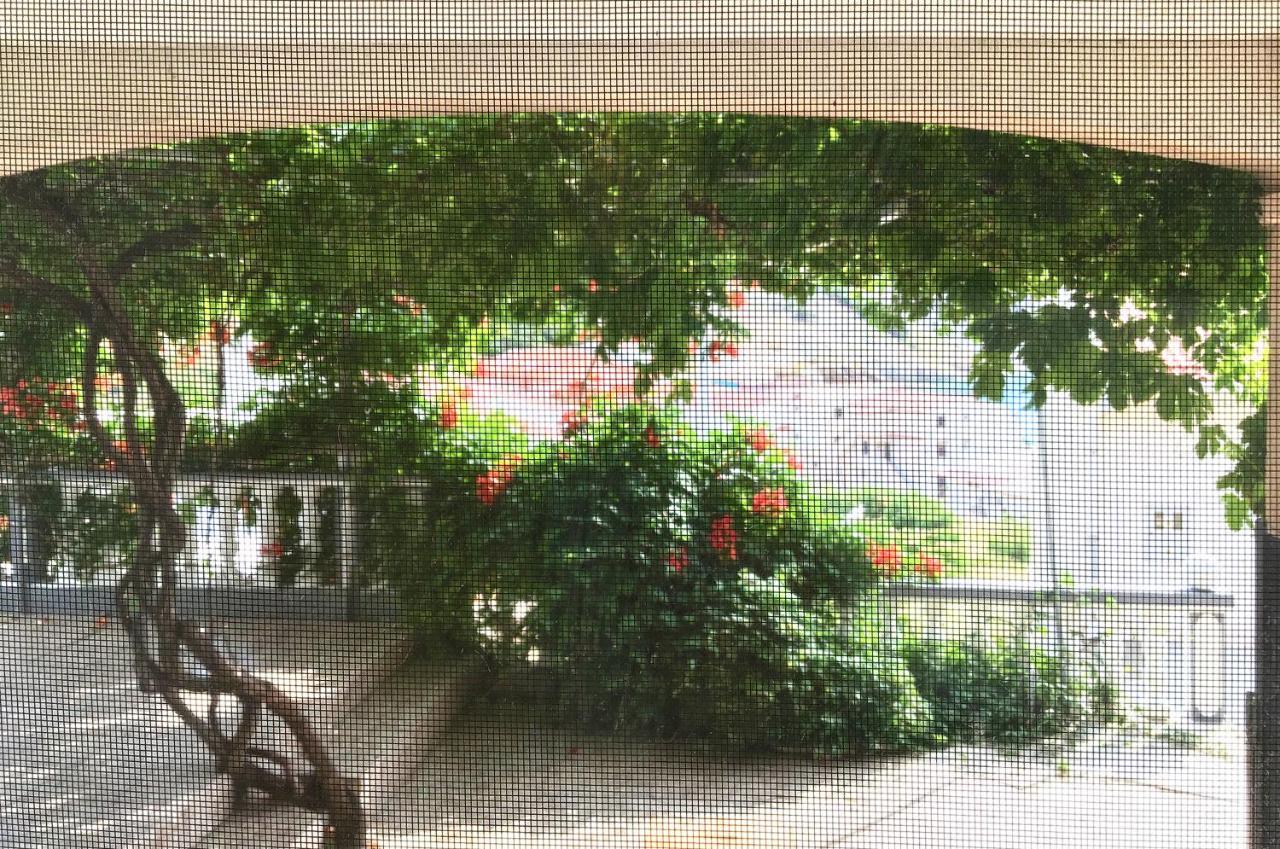 Apartment Coral Metajna Luaran gambar